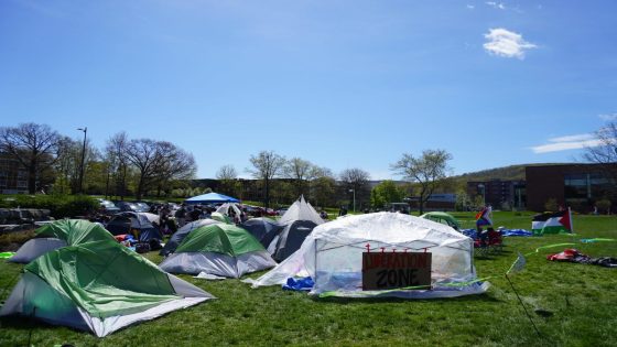 Binghamton University. students join other Israel-Hamas war protests around the state – MASHAHER