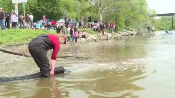 Manitowoc conservationists release Coho Salmon into Lake Michigan to fight an invasive species – MASHAHER