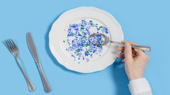 The plastic in your food that’s playing havoc with your gut health – MASHAHER