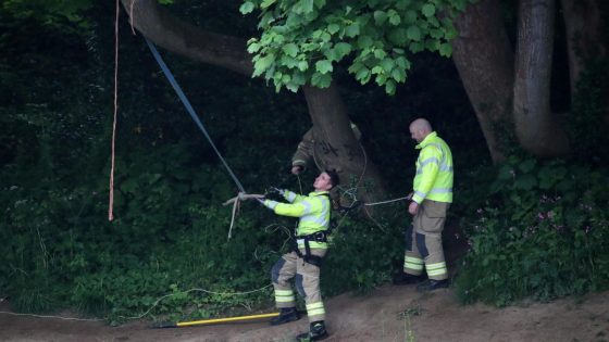 Boy, 14, dies and another critical after ‘playing on rope swing’ by River Tyne – MASHAHER