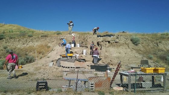 See mammoth bones being dug up by Tri-Cities. Tours expected to fill quickly – MASHAHER