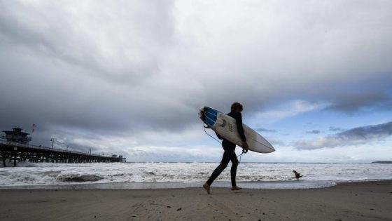 Popular California beach closed for the holiday after shark bumped surfer off his board – MASHAHER