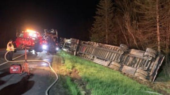 Tractor-trailer hauling 15 million bees crashes on New England highway – MASHAHER