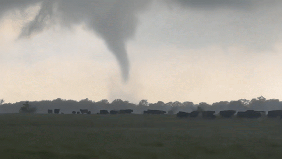 Funnel Cloud Swirls in North Texas as Severe Weather Sweeps Region – MASHAHER