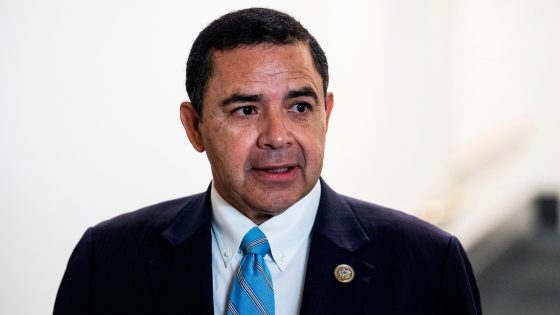 Texas Democratic Rep. Henry Cuellar says he is ‘innocent’ ahead of potential indictment – MASHAHER