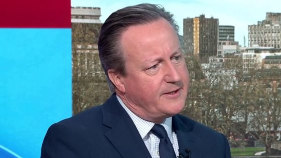 Israeli arms embargo ‘not wise’ – with US and UK ‘in totally different situation’, says Cameron | Politics News – MASHAHER