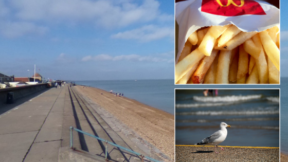 Woman slapped with £200 fine after dropping McDonald’s chips which were snatched by seagulls – MASHAHER