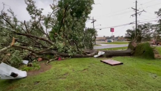 Pregnant woman among multiple people killed due to severe weather in the South – MASHAHER