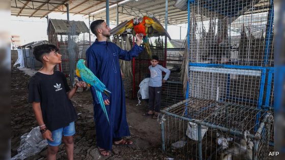 Gaza Zookeeper Flees Rafah, Creates Temporary Home For Animals – MASHAHER