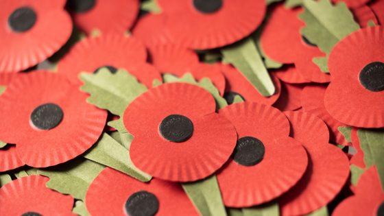 Royal British Legion ‘must bin off new politically correct non-job and give money to veterans,’ says Philip Davies – MASHAHER