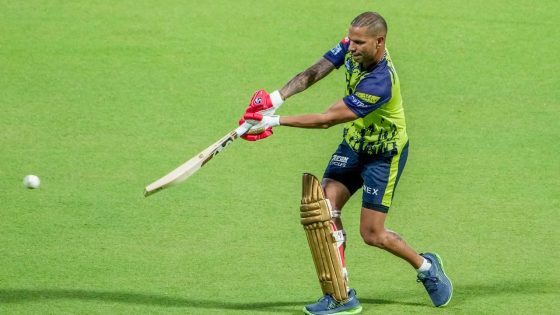 IPL 2024 | Shikhar Dhawan to miss RCB clash, to be assessed in Delhi: PBKS coach Haddin – MASHAHER