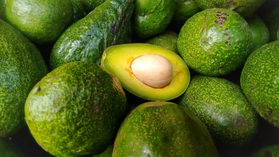 Armed highway thieves steal 40 tonnes of avocados in Mexico | World News – MASHAHER