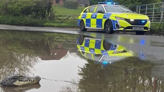 Crocodile: Reports of reptile in Buckinghamshire village investigated by ‘brave’ Thames Valley Police | UK News – MASHAHER