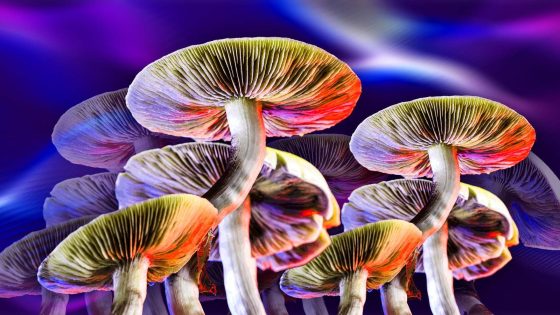 Magic mushrooms effective for treating depression – study | UK News – MASHAHER