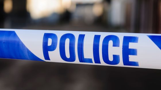 Pedestrian in his 60s dies after being hit by police vehicle in Nuneaton | UK News – MASHAHER