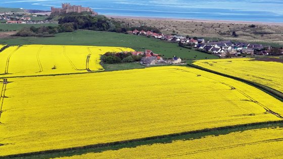 UK weather: Country could bask in 28C heat – before ‘thundery downpours’ end weekend ‘with a bang’ | UK News – MASHAHER