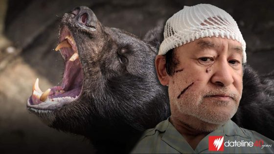 A rise in bear attacks in Japan has locals hunting for answers. This town has an innovative solution – MASHAHER