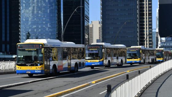 50c fares: Queensland slashes public transport prices – MASHAHER