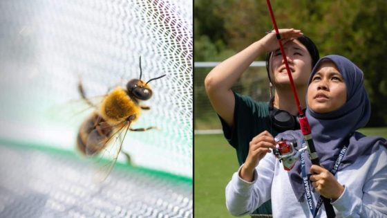 This Australian ‘bee lab’ is racing to fight deadly varroa mite. Everyone is invited to help – MASHAHER