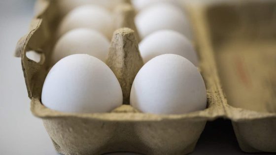 With 450,000 fewer eggs a day, farmers warn prices could soar amid bird flu outbreak – MASHAHER