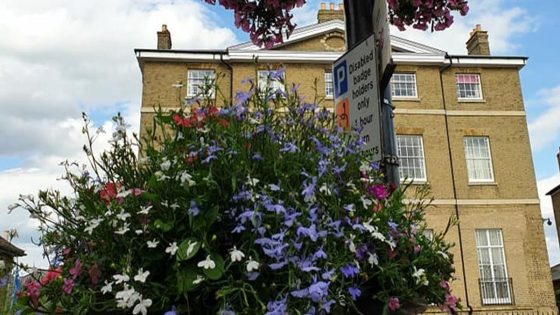 Cambridgeshire news: Floral display group fume over council red tape as they’re ordered to take £165 safety course – MASHAHER