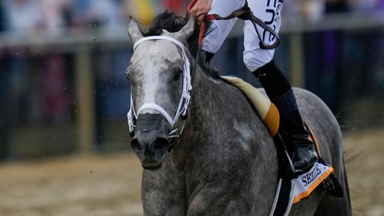 Seize the Grey wins the Preakness for D. Wayne Lukas and ends Mystik Dan’s Triple Crown bid – MASHAHER