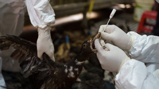 The Disease Detectives Trying to Keep the World Safe From Bird Flu – MASHAHER