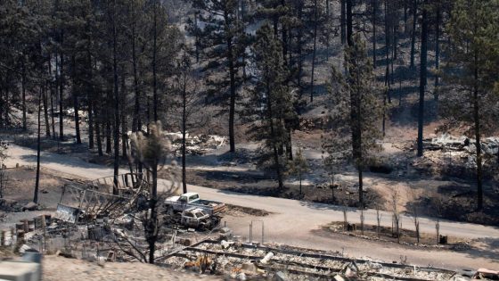 New Mexico issues state of emergency amid deadly wildfires – MASHAHER