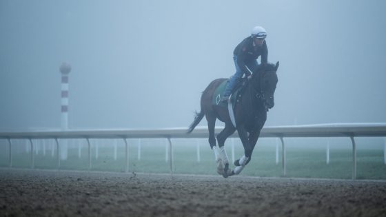 See Photos From Inside the 2024 Belmont Stakes – MASHAHER