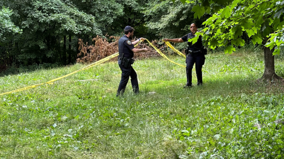 Woman sexually assaulted while sunbathing in Central Park, suspect at large: NYPD – MASHAHER