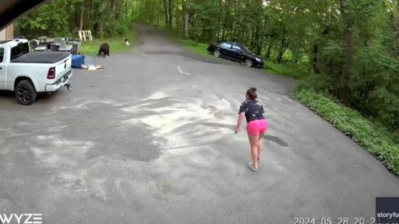 Heart-pounding video shows bear chase dog, then Minnesota woman in driveway: ‘Lunged at me’ – MASHAHER