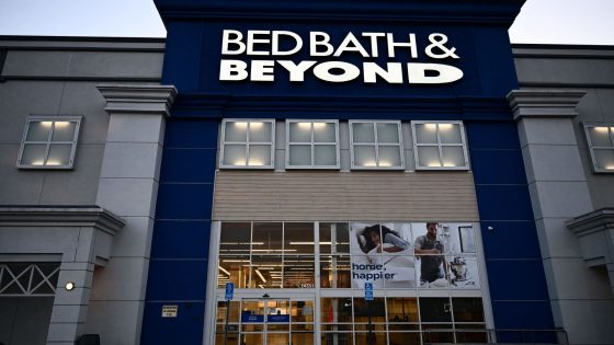 Billionaire investor Ryan Cohen beats Bed Bath & Beyond shareholder lawsuit – MASHAHER