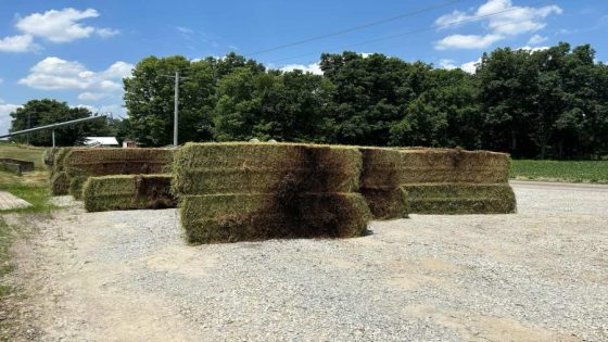 Central IL farmer nearly lost barn, hundreds of hay bales from high temperatures – MASHAHER