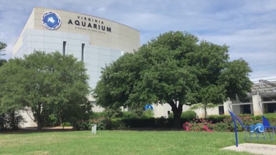 Concerns raised as Virginia Beach continues to weigh options for aquarium’s future – MASHAHER