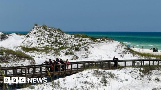 Woman and two girls injured at beaches – MASHAHER