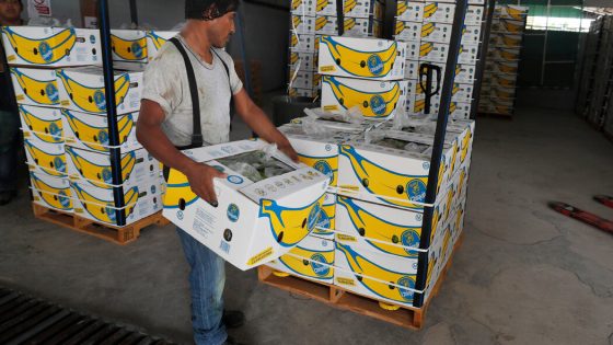 Chiquita Banana Held Liable for Paramilitary Group’s Killings During Colombian Civil War – MASHAHER