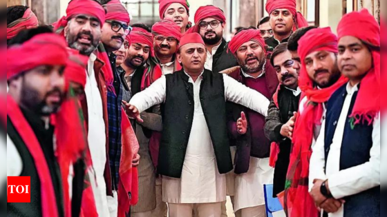 SP win mirrors Akhilesh’s PDA pitch: 86% MPs are OBCs, Dalits, Muslims | India News – MASHAHER