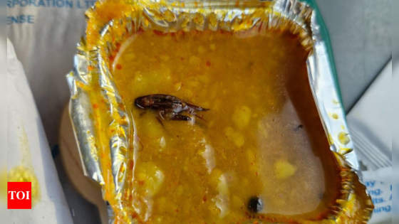 Cockroach found in Vande Bharat meal once again, IRCTC responds | India News – MASHAHER