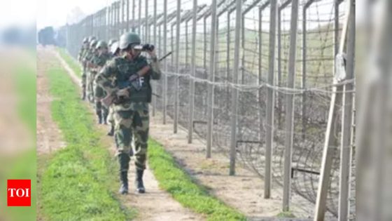 Security forces foil infiltration bid along LoC in J&K’s Uri, 2 terrorists killed | India News – MASHAHER