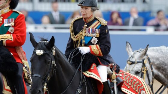 Princess Anne Hospitalized With Concussion and Minor Injuries – MASHAHER