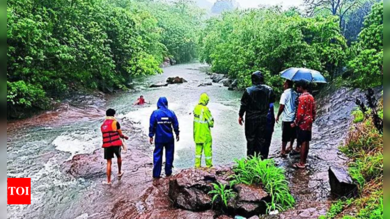 Waterfall trip turns tragic as 5 drown near Lonavala dam | India News – MASHAHER