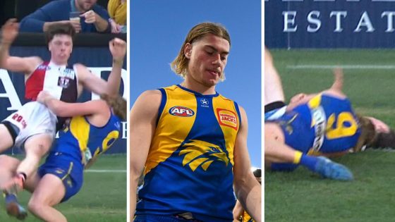 Harley Reid challenges ban for tackle on Darcy Wilson, Rhylee West fights suspension for bump on Jeremy Howe, comments, reaction, latest news – MASHAHER