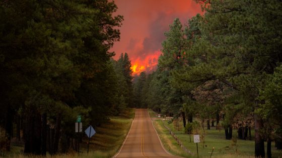 New Mexico Battles ‘Devastating’ Wildfires as Weather Complicates the Fight – MASHAHER