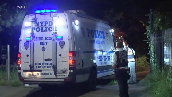 13-year-old girl sexually assaulted at knifepoint in NYC park: Police – MASHAHER