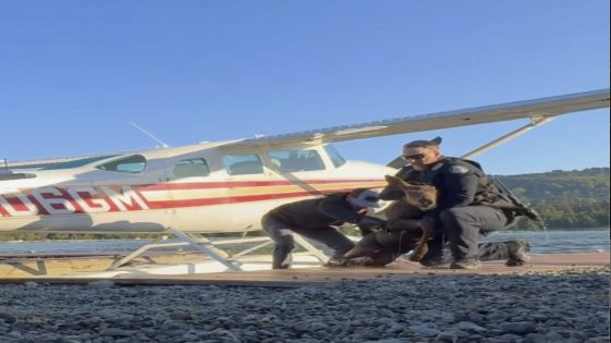 Baby moose trapped in a lake is saved by Alaska man and police as its worried mom watches – MASHAHER