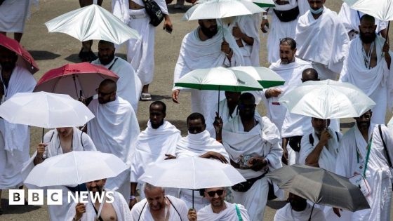 At least 14 Hajj pilgrims die in intense heat – MASHAHER