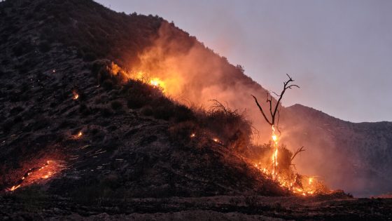 How This Year’s Fire Season Could Pan Out – MASHAHER