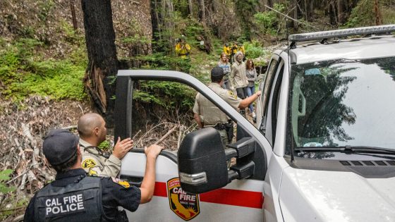 A Man Missing for 10 Days in a California Forest Is Found Alive – MASHAHER