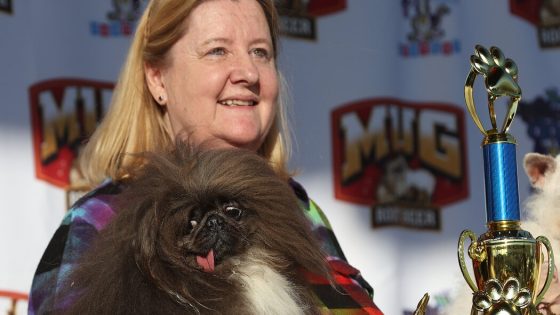 A Tenacious Pekingese Is the ‘World’s Ugliest’ Dog, After Many Tries – MASHAHER