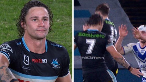 Nicho Hynes missed field goal, Cronulla Sharks v Canterbury Bulldogs, video, watch, Craig Fitzgibbon, Cooper Cronk, NSW Blues – MASHAHER